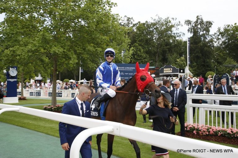 52992201567_f40f3b8d92_c