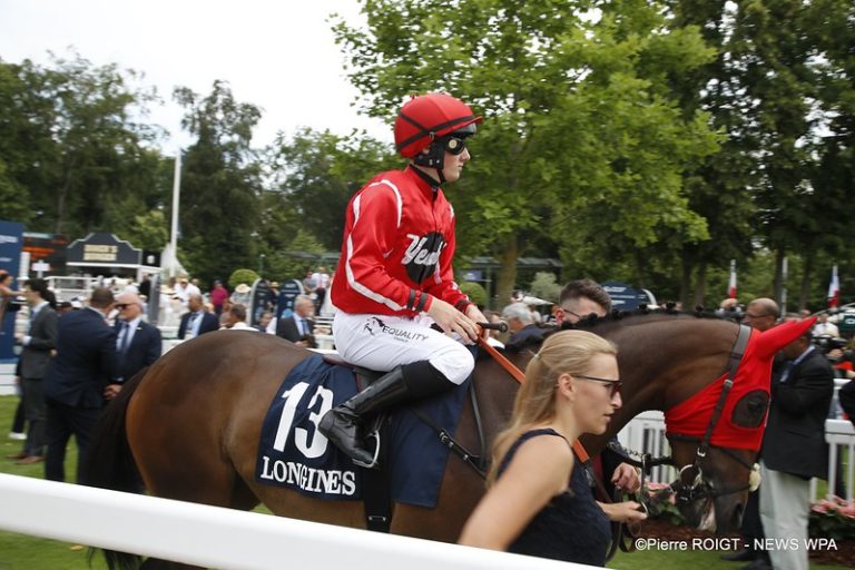 52992201572_abae336f8b_c