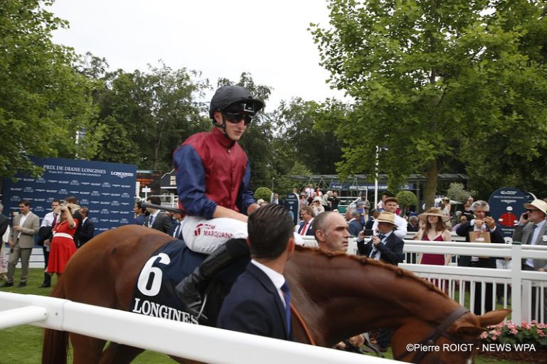 52992201667_6a2c6fc85c_c