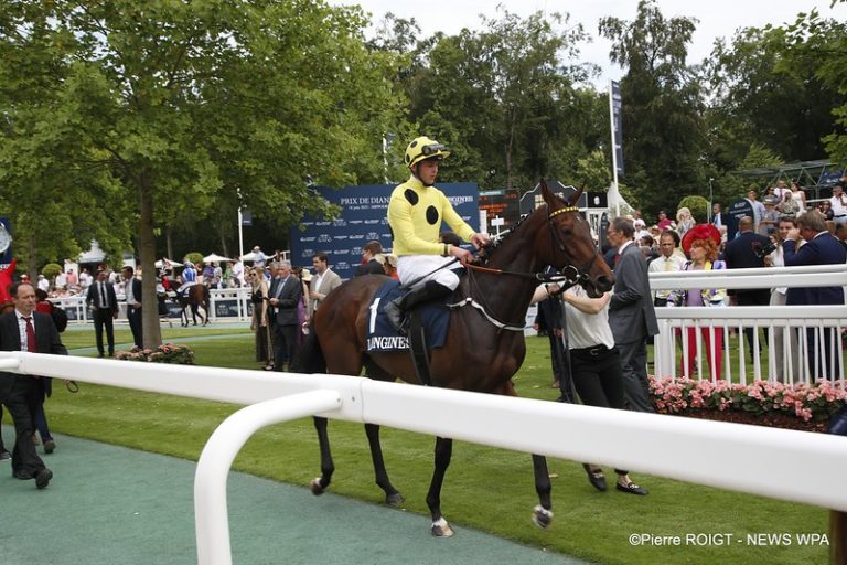 52992802166_7f2894f113_c