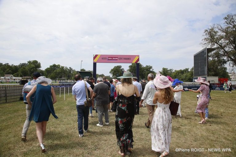 52992929459_de8e448a42_c