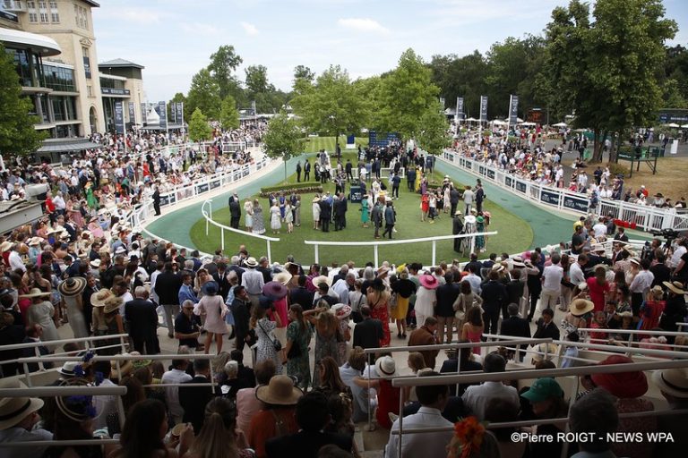 52993251803_1c418fc03c_c