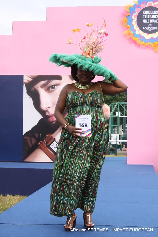 52993307833_88fc96370e_c