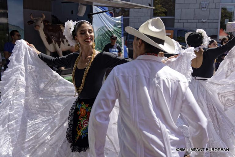 AOP Bleu d'Auvergne 12