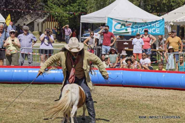 AOP Bleu d'Auvergne 27