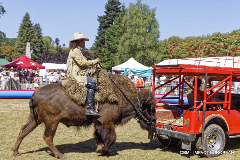 AOP Bleu d'Auvergne 34