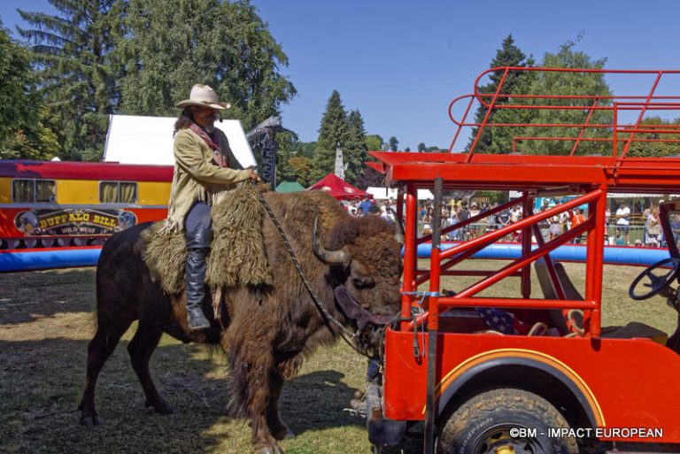 AOP Bleu d'Auvergne 35