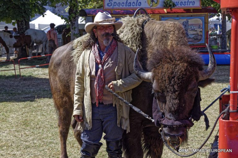 AOP Bleu d'Auvergne 38