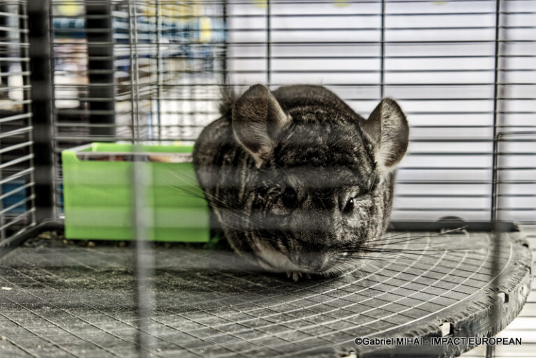 _MG_6760photos la nueve 2023