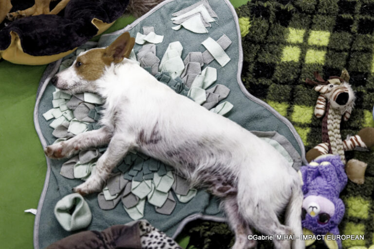 _MG_6777photos la nueve 2023