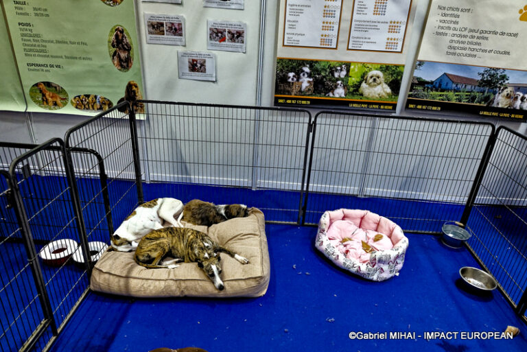 _MG_6782photos la nueve 2023