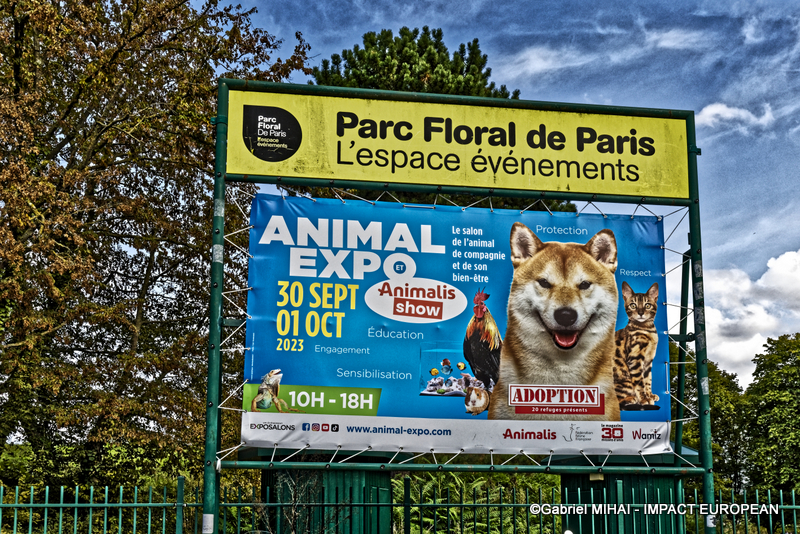 _MG_6793photos la nueve 2023