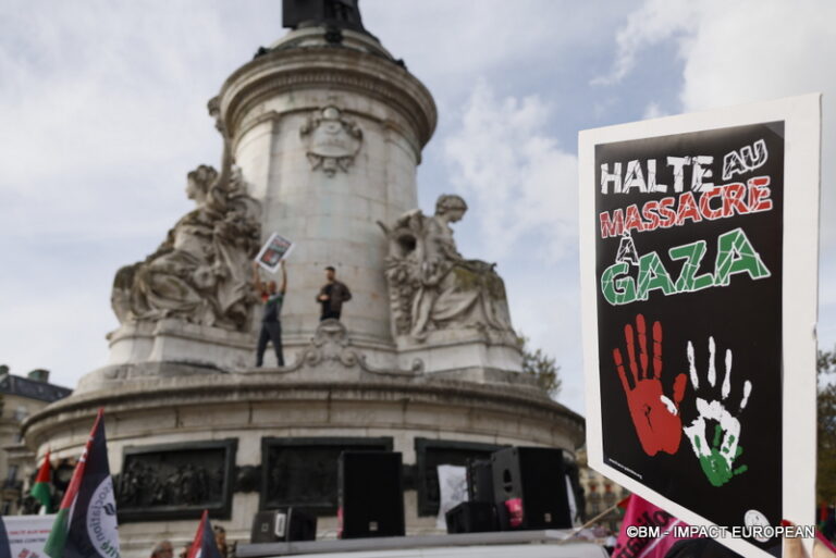 Manifestation pro-Palestinienne 07