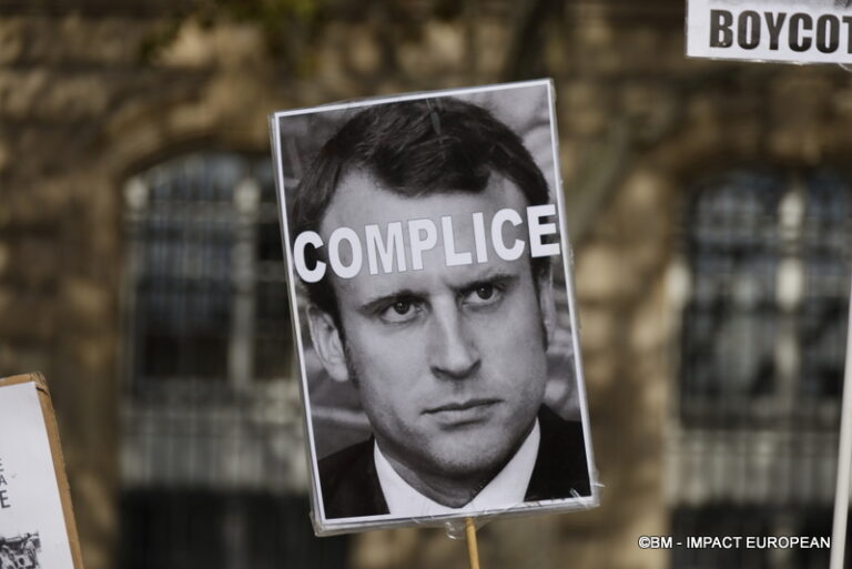 Manifestation pro-Palestinienne 13