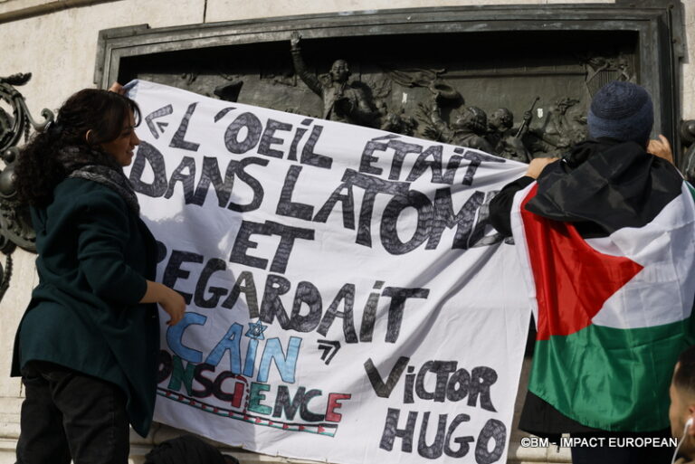 Manifestation pro-Palestinienne 14