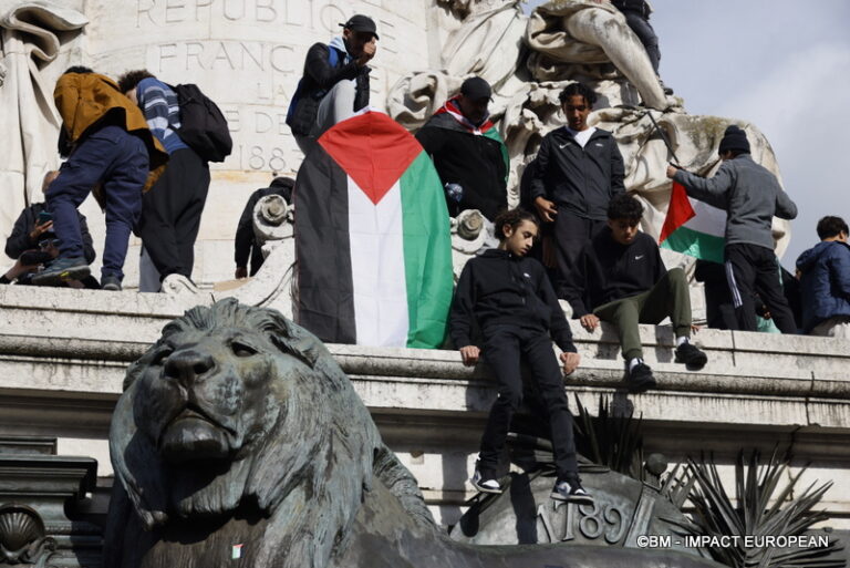 Manifestation pro-Palestinienne 21