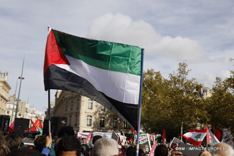 Manifestation pro-Palestinienne 23