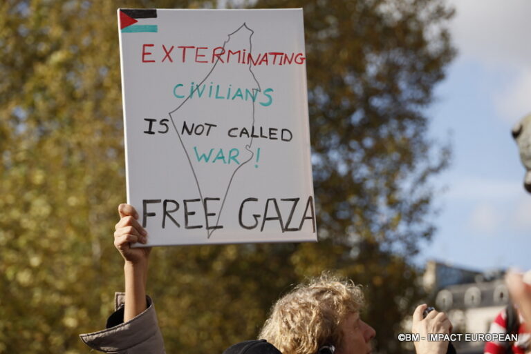 Manifestation pro-Palestinienne 32