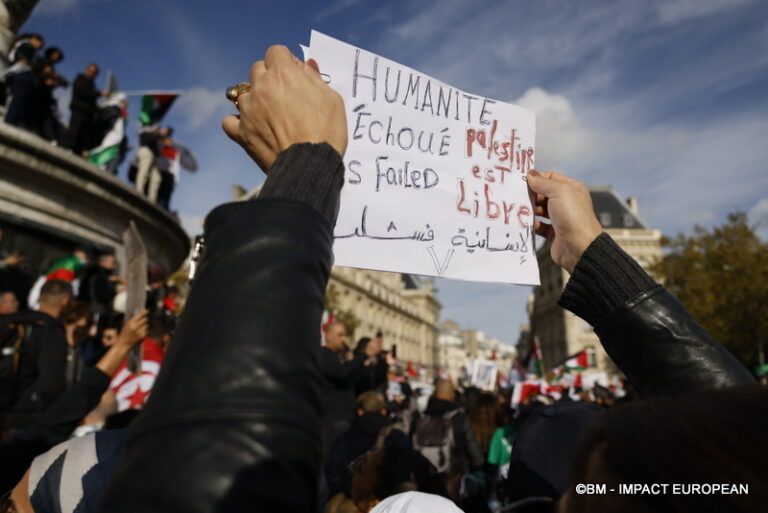 Manifestation pro-Palestinienne 33