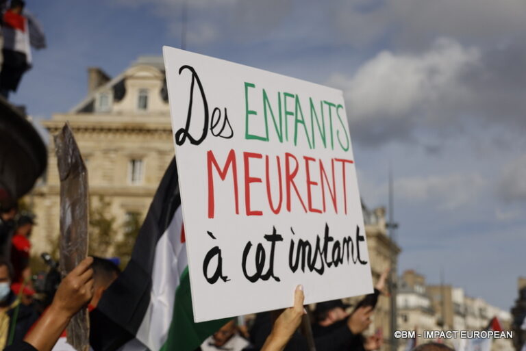 Manifestation pro-Palestinienne 34