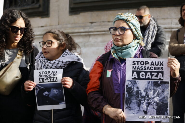 Manifestation pro-Palestinienne 36