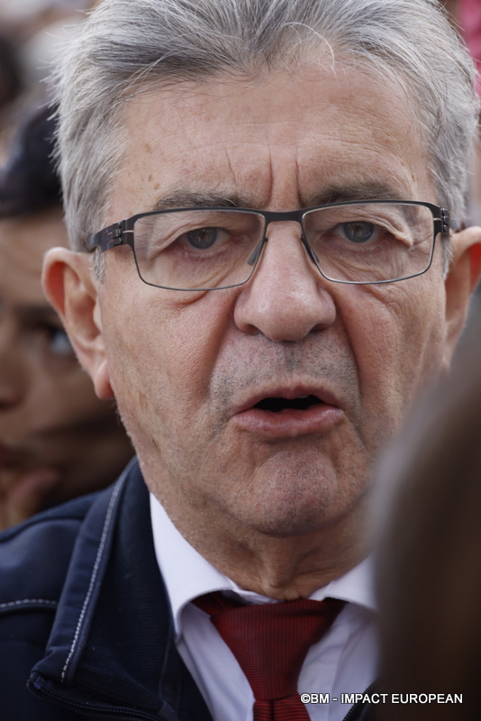 Manifestation pro-Palestinienne 43