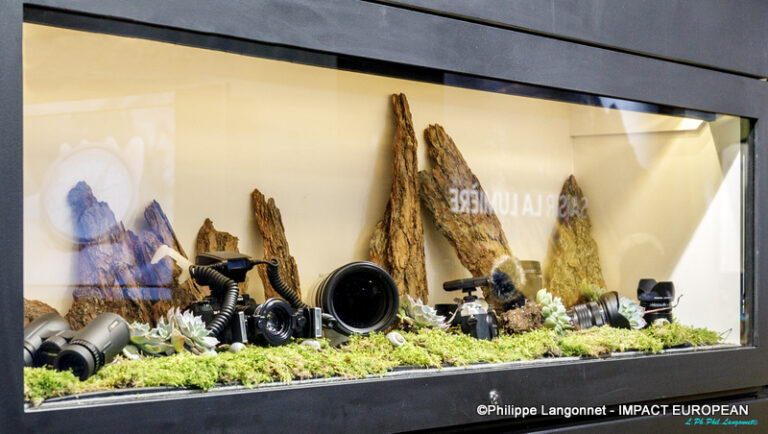 Photographie de Philippe Langonnet