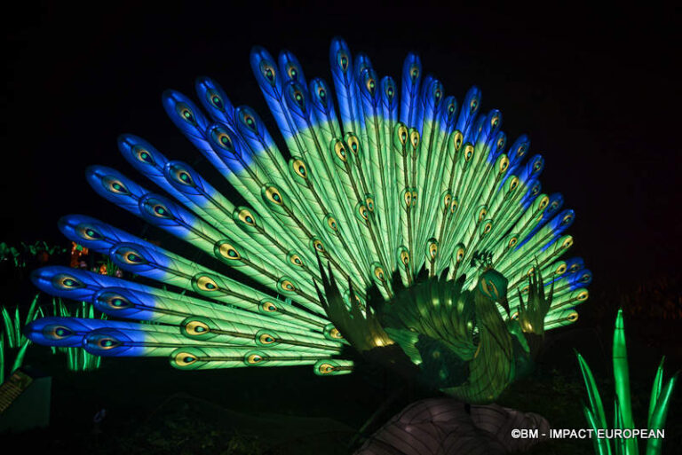 Lanternes Jardin des Plantes 03