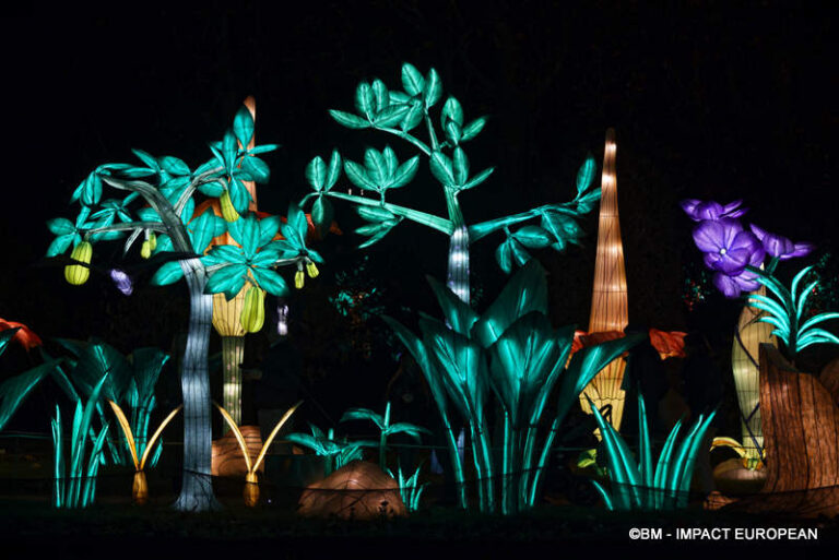 Lanternes Jardin des Plantes 04