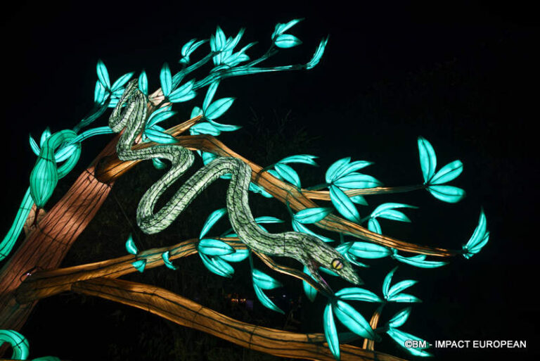 Lanternes Jardin des Plantes 06