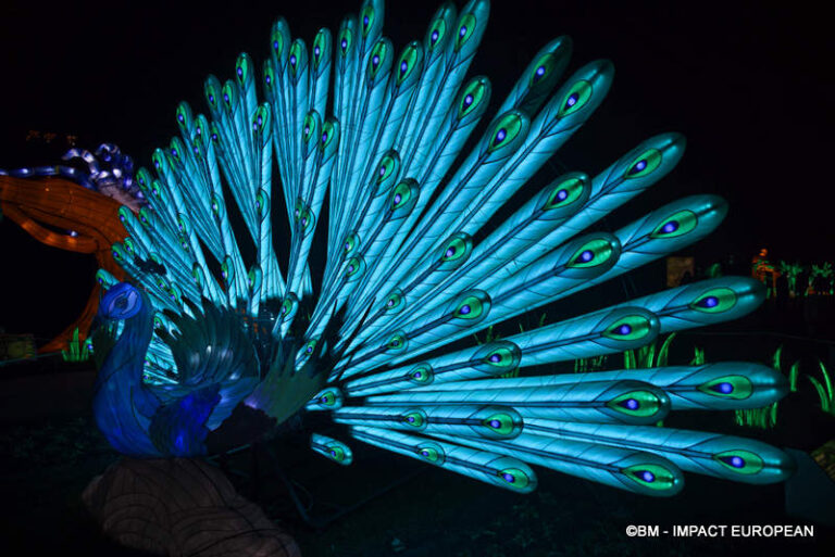 Lanternes Jardin des Plantes 11
