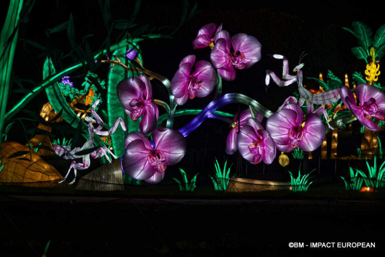 Lanternes Jardin des Plantes 23