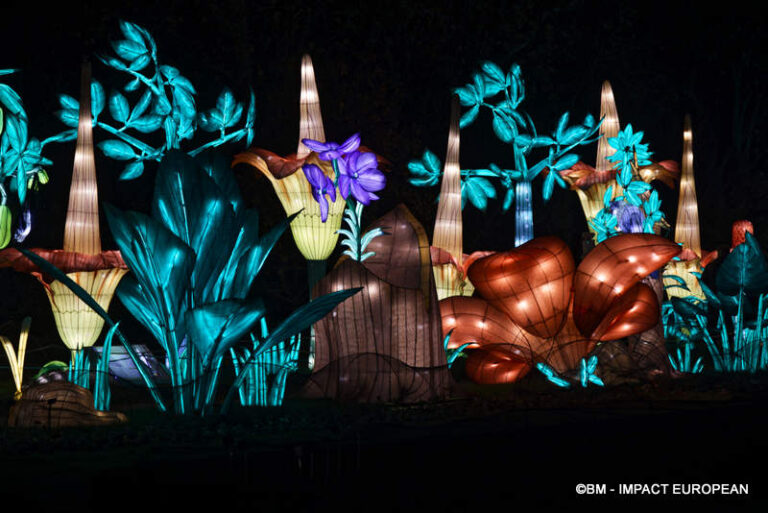 Lanternes Jardin des Plantes 29