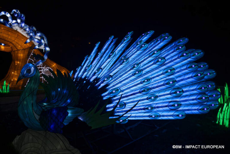 Lanternes Jardin des Plantes 31