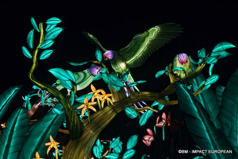 Lanternes Jardin des Plantes 37