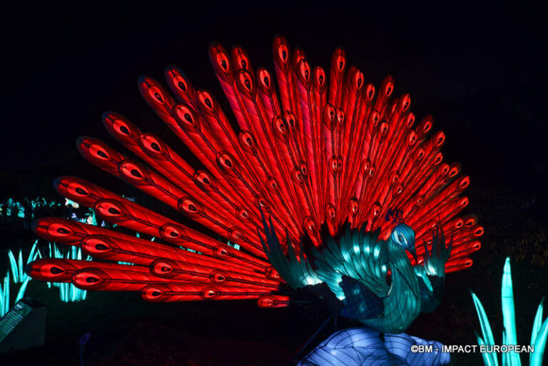 Lanternes Jardin des Plantes 42