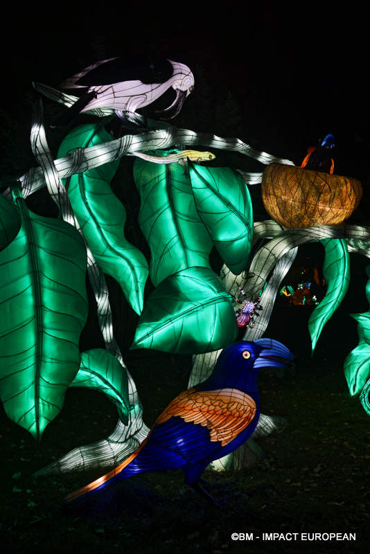 Lanternes Jardin des Plantes 43