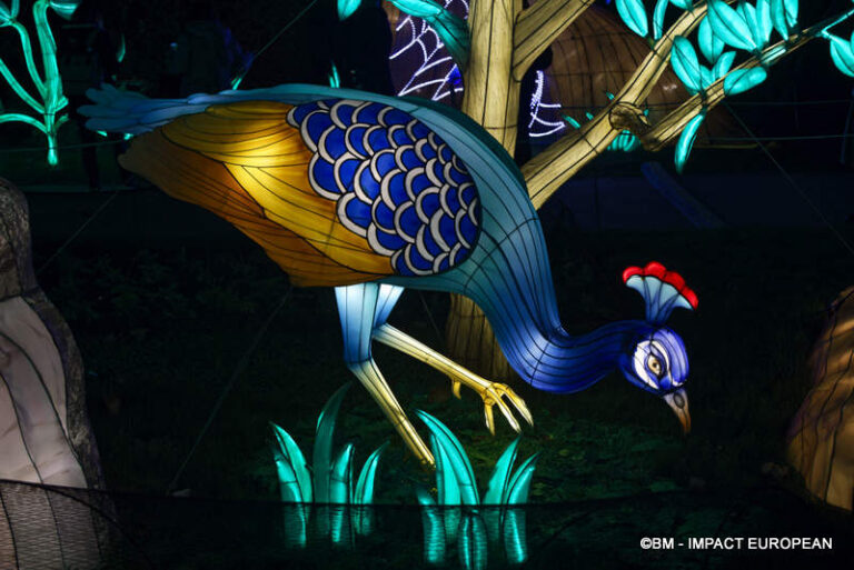 Lanternes Jardin des Plantes 51