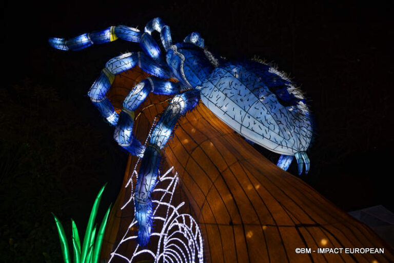 Lanternes Jardin des Plantes 52