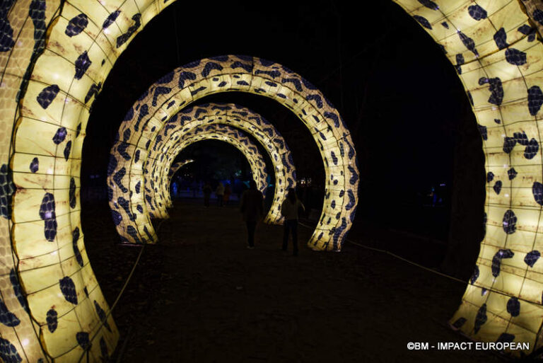 Lanternes Jardin des Plantes 53