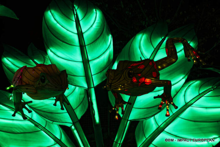 Lanternes Jardin des Plantes 55