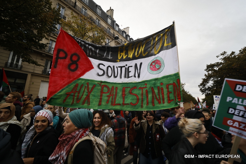 Manif pour la paix à Gaza 035