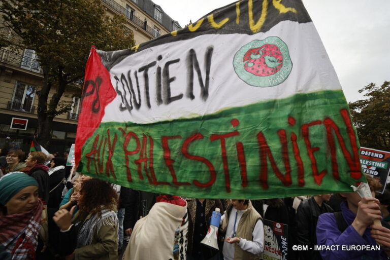 Manif pour la paix à Gaza 036