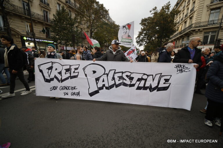 Manif pour la paix à Gaza 039