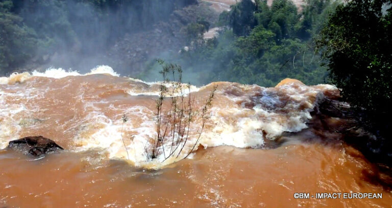 Chutes d'Iguazu Argentine 08