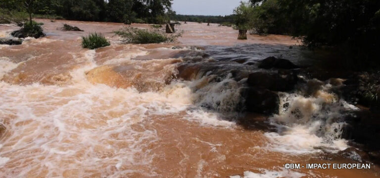Chutes d'Iguazu Argentine 12