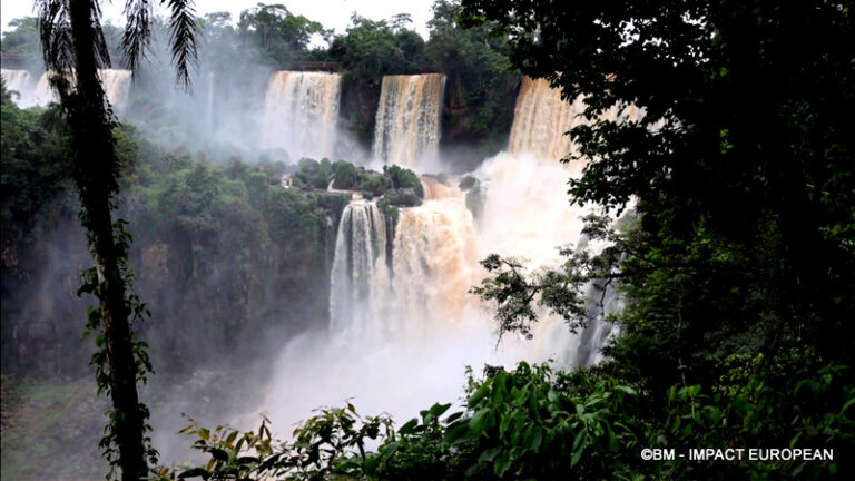 Chutes d'Iguazu Argentine 23