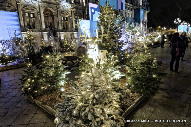 _MG_7408HOTEL DE VILLE illuminati