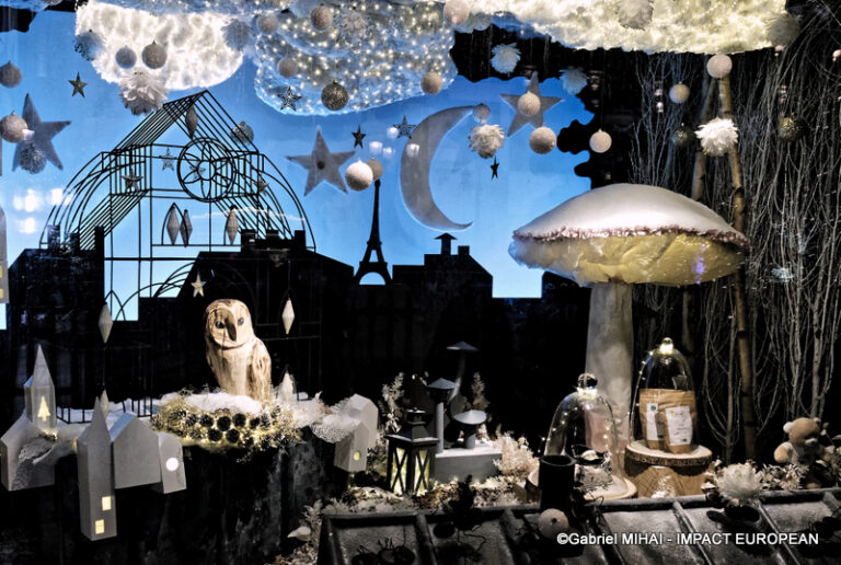 _MG_7429HOTEL DE VILLE illuminati