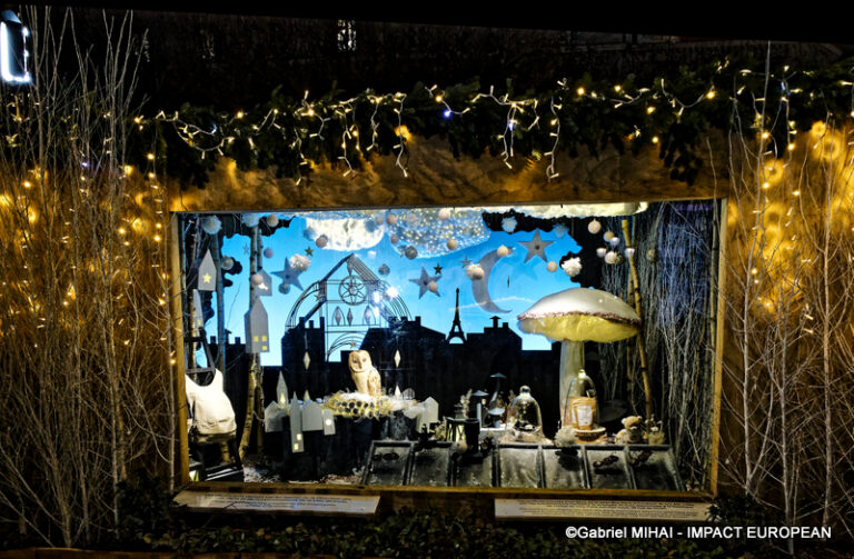 _MG_7432HOTEL DE VILLE illuminati